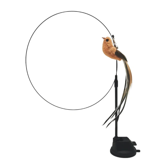 Kitty's bird simulation toy