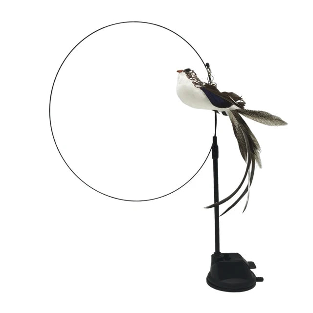 Kitty's bird simulation toy