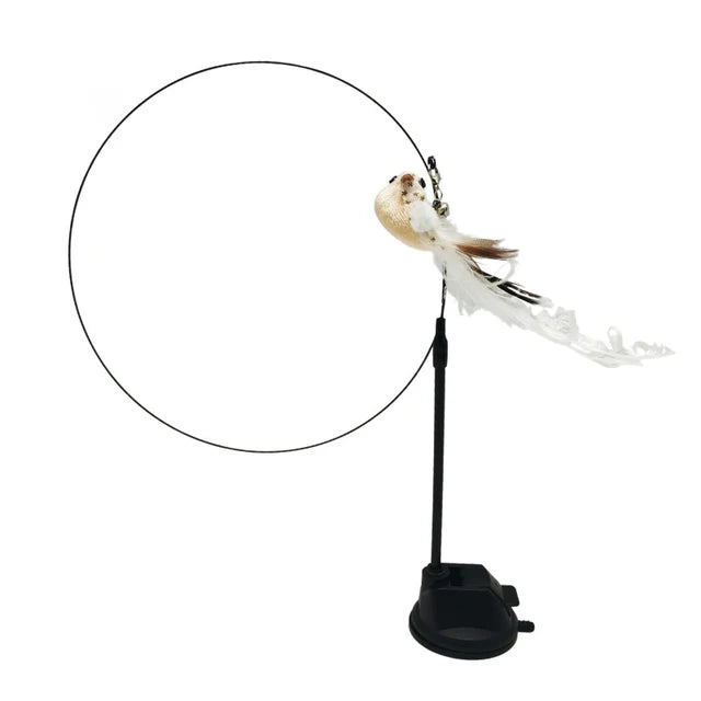 Kitty's bird simulation toy