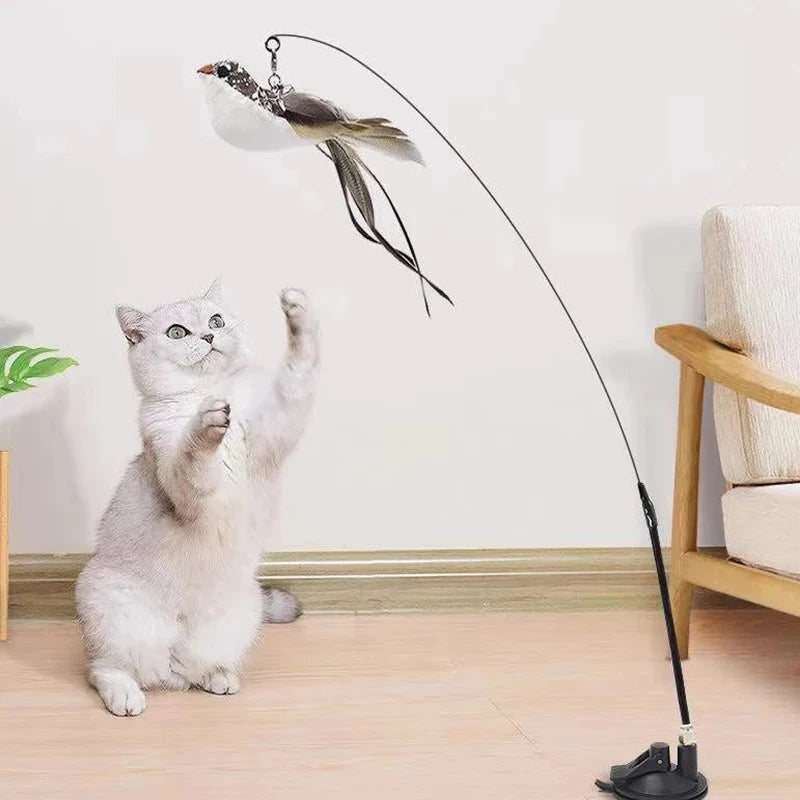 Kitty's bird simulation toy