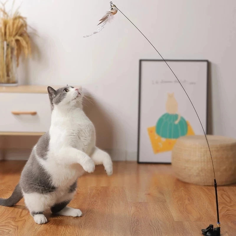 Kitty's bird simulation toy