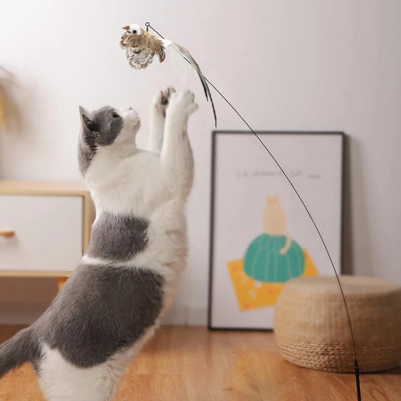 Kitty's bird simulation toy
