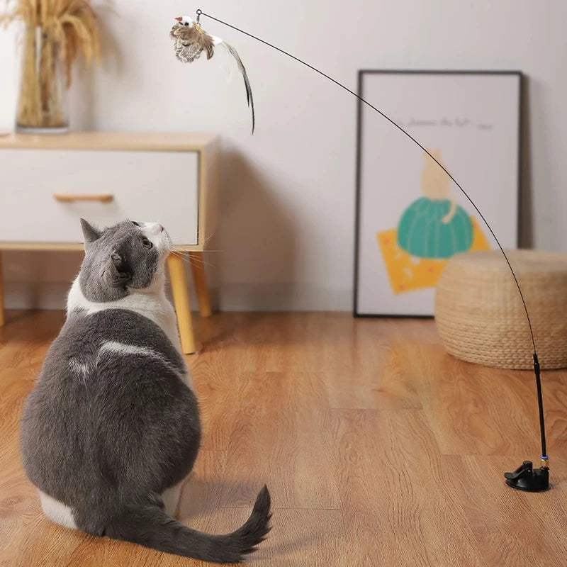 Kitty's bird simulation toy