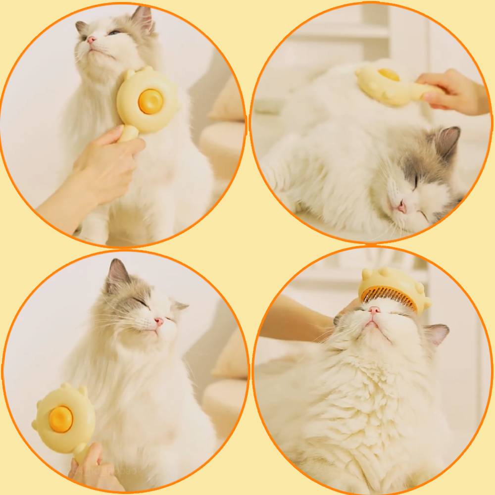 Ultimate Care for Your Four-Legged Friend