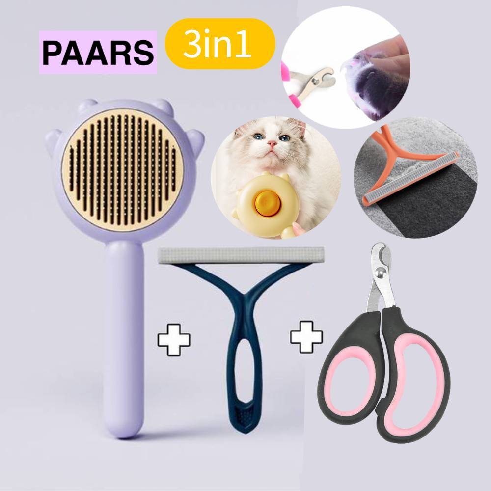 Ultimate Care for Your Four-Legged Friend