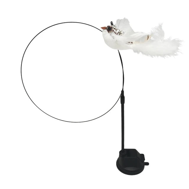 Kitty's bird simulation toy