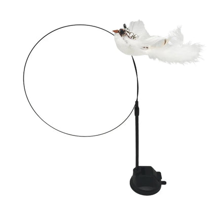 Kitty's bird simulation toy