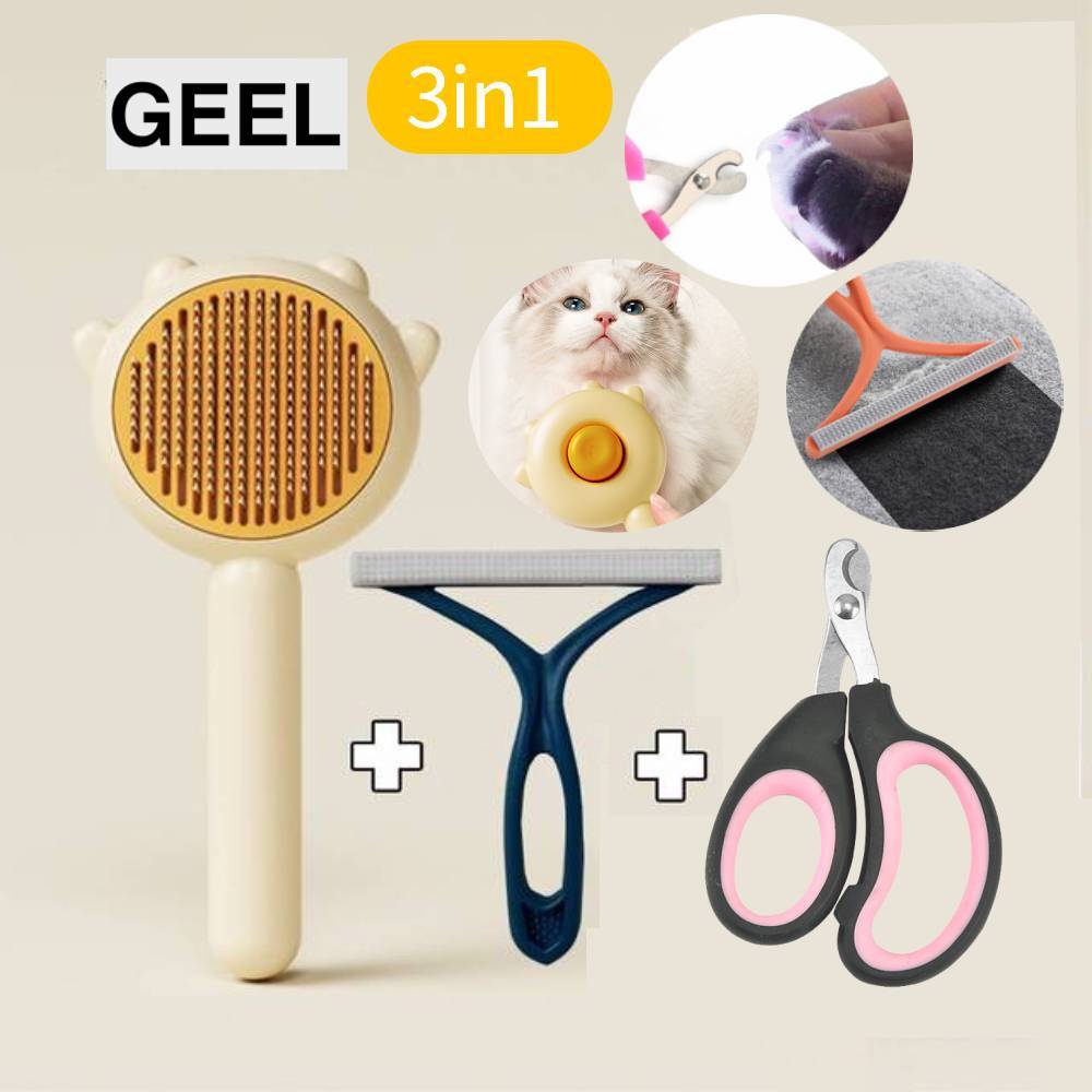 Ultimate Care for Your Four-Legged Friend